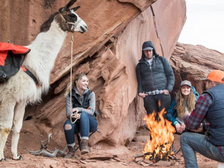 A group of people is gathered around a campfire outdoors near rocks, with a llama carrying a pack standing close by.