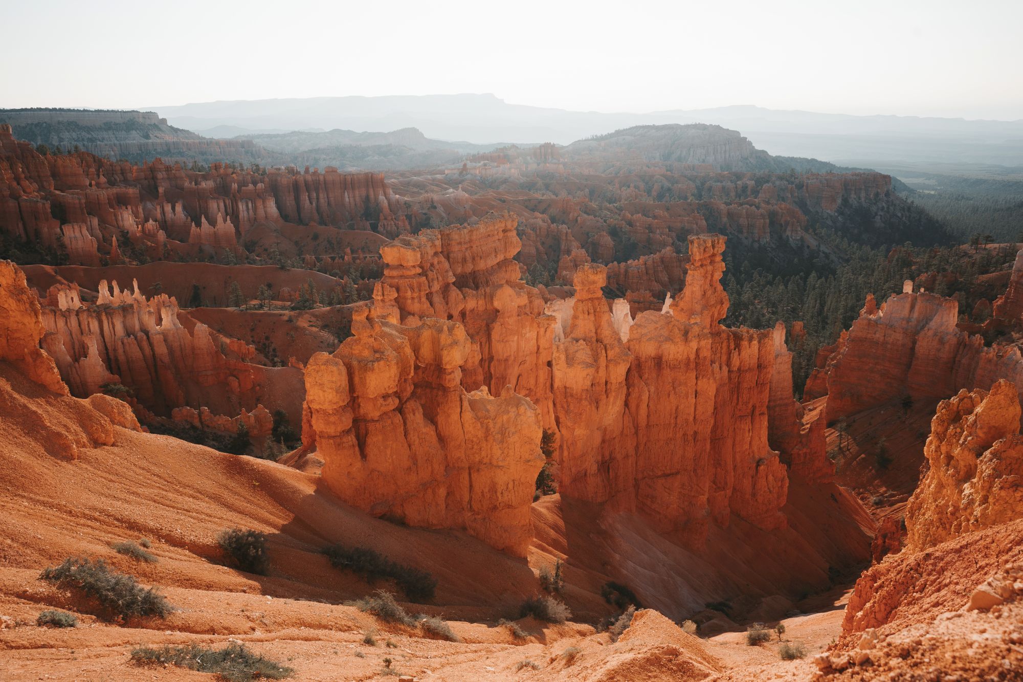 The image shows a landscape of reddish-orange rock formations and hoodoos, typical of Bryce Canyon National Park, under a clear sky.