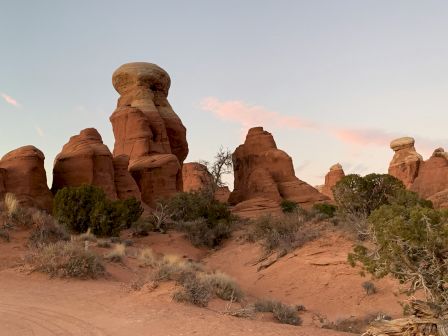 The image shows red rock formations and sparse vegetation, likely in a desert landscape with a clear sky in the background.